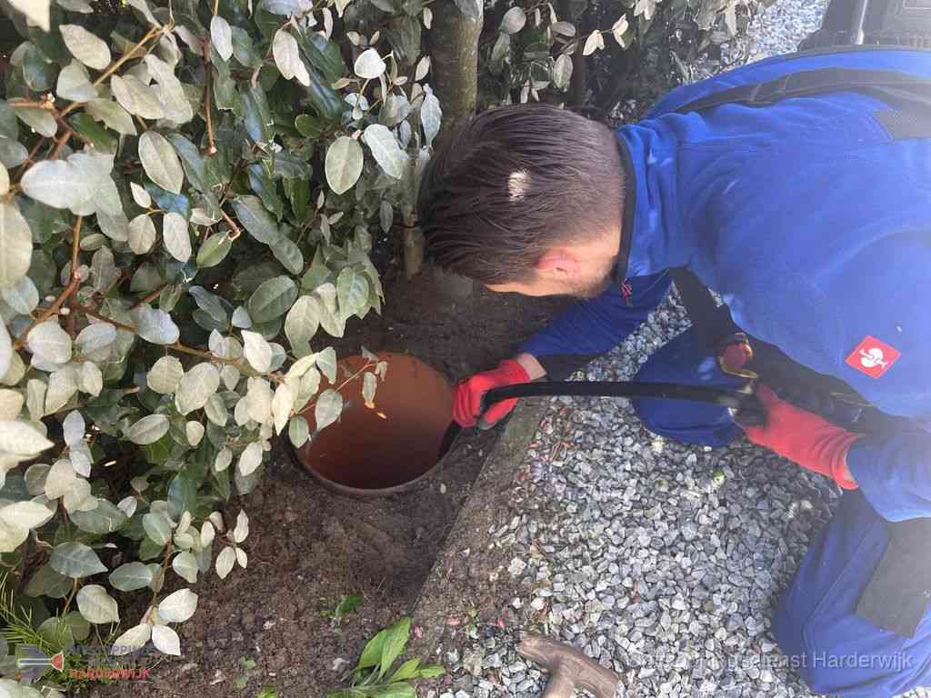 Rioolvliegjes Harderwijk Rioolvliegjes Harderwijk